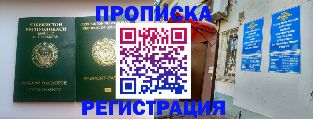 где прописаться в Кольчугино